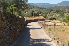 thumbs_372